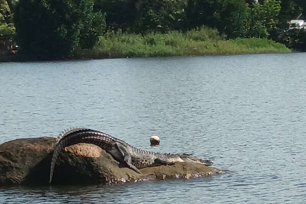 Flussfahrt Bentota